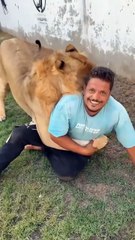 بيبي يطلق أسد على عامل مصري