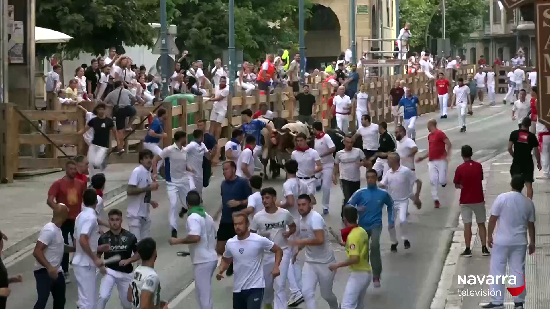 Dos heridos en el cuarto encierro de Tafalla