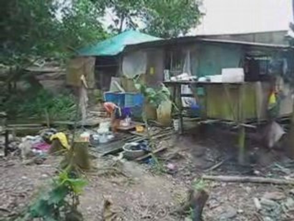Bintulu Squatter