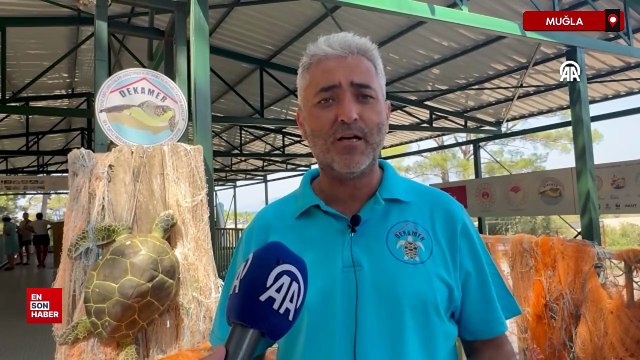 İztuzu Sahili'nde caretta caretta yuva sayısı 800'e ulaştı