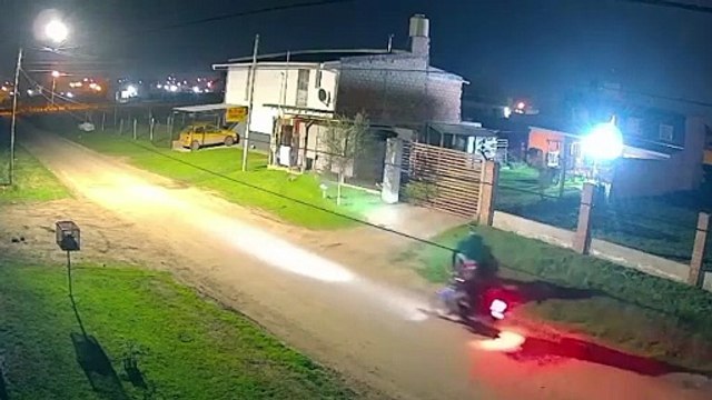 Acero el Pitbull que frustró asalto: “Corrió hacia los ladrones y se escaparon”