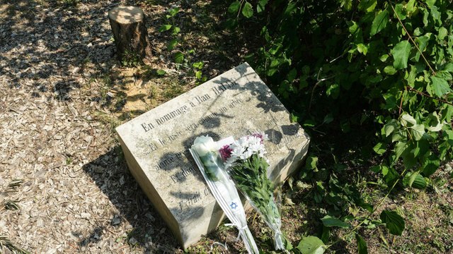 Arbre en hommage à Ilan Halimi abattu : un « nouvel acte anti-juif », réagit le CRIF