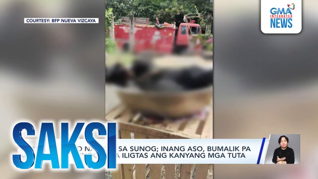 8 aso na-trap sa sunog; inang aso, bumalik pa sa sunog para iligtas ang kanyang mga tuta | Saksi