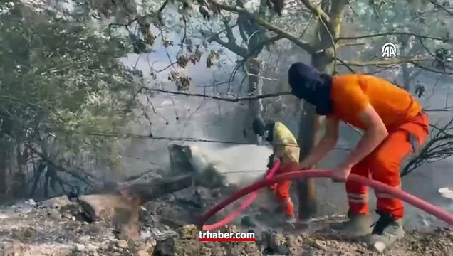 Kocaeli yanıyor! Alevler geniş alana yayıldı: Tahliyeler başladı