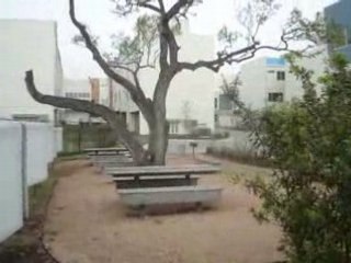 Austin modern contemporary green homes - The bel air lofts