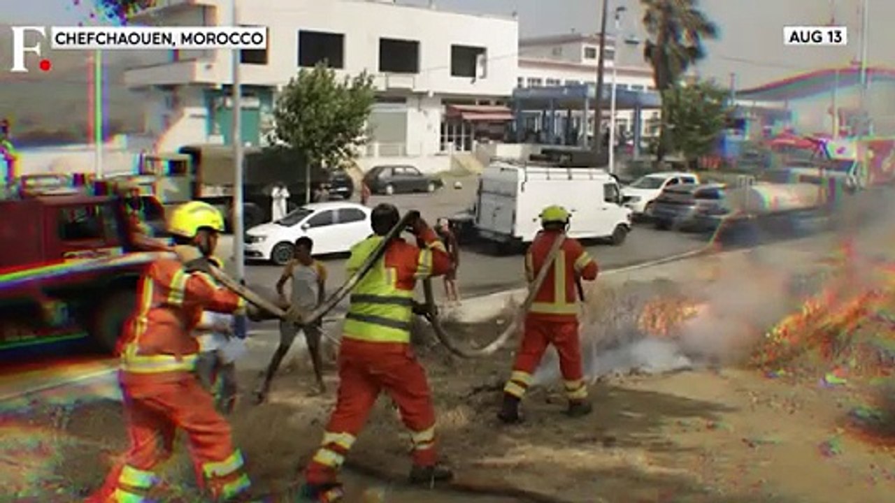 Morocco Forest Fires: 8 Aircraft Deployed, Blazes In Chefchaouen Controlled | Firstpost Africa |N18G