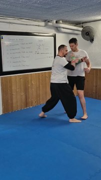 From Chum-Kiu to Siu Lim Tao Wing Chun concepts