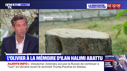 Story 1 : L'olivier à la mémoire d'Ilan Halimi abattu - 15/08