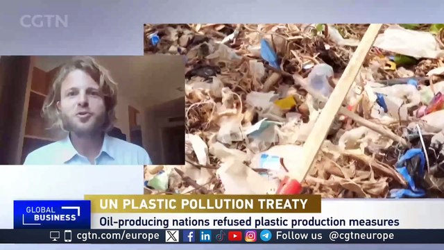 World Wildlife Fund's perspective on the failed plastic pollution treaty talks