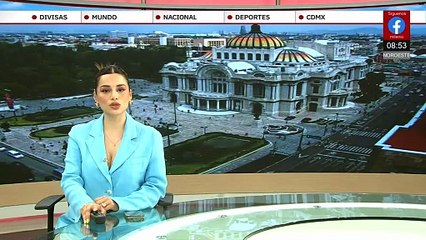 Universidad de Cornell crea implante revierte diabetes tipo 1 en ratas sin inmunosupresión