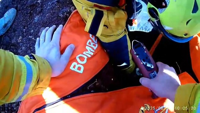 Bombeiros resgatam cadela que caiu em buraco de cinco metros em Chapecó