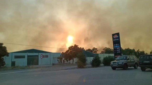 La Junta de Extramadura ha activado el nivel 1 del plan Infoex por el incendio de Casar de Cáceres.