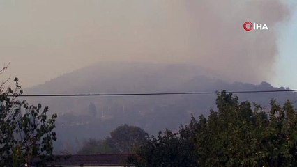 Kocaeli’deki orman yangını 8,5 saattir sürüyor: Rüzgar müdahaleyi güçleştiriyor