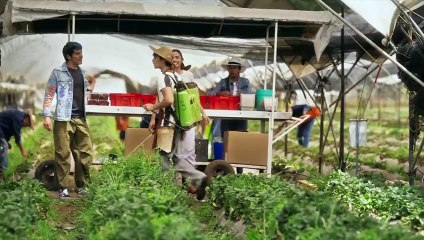 Cap. 28 - Amanecer   HD