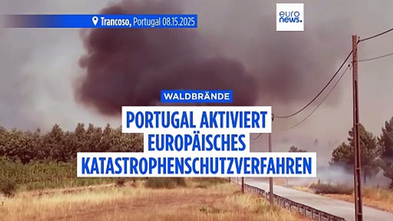 Unkontrollierbare Brände: Portugal aktiviert Europäisches Katastrophenschutzverfahren