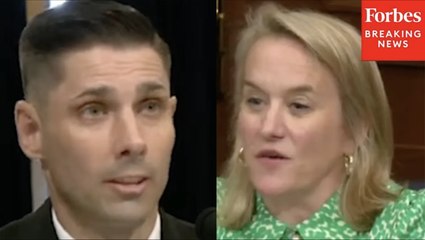 Nikki Budzinski Grills VA Official On 'Unaddressed, Unfunded' Priorities In Spite Of Money Transfers