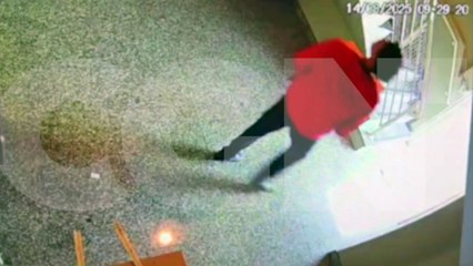 Veja momento em que venezuelanos furtavam café gourmet em empresa de Cascavel