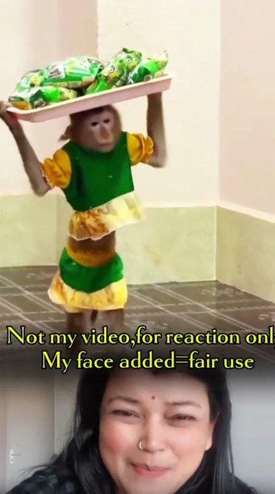 Best Funny monkey videos🤣