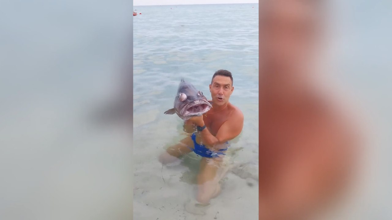 Vannacci e il video con il pesce: «Ecco la faccia della sinistra alle prossime elezioni»