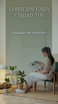 Cómo cuidar plantas de interior y mantenerlas siempre verdes | Tips fáciles y efectivos