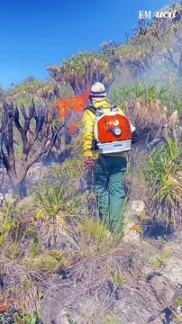 Brigadistas voluntários combatem incêndio próximo à Serra do Cipó'