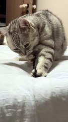 Ensayando para cupido 😽💕