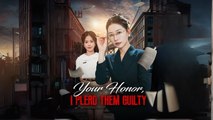 Your Honor, I Plead Them Guilty Full Hd Shorts