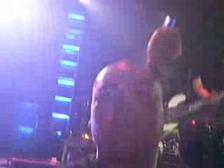 avalon Georg hair xd