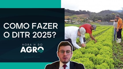 A declaração do imposto sobre a propriedade territorial rural vai até 30/09 | HORA H DO AGRO