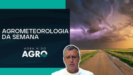Por Dentro do Clima: impacto das chuvas no plantio de milho no sul | HORA H DO AGRO