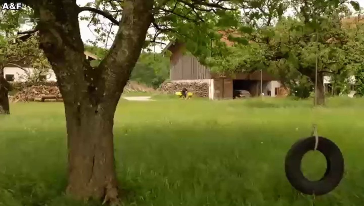 Frühling -40- Das Geheimnis vom Rabenkopf