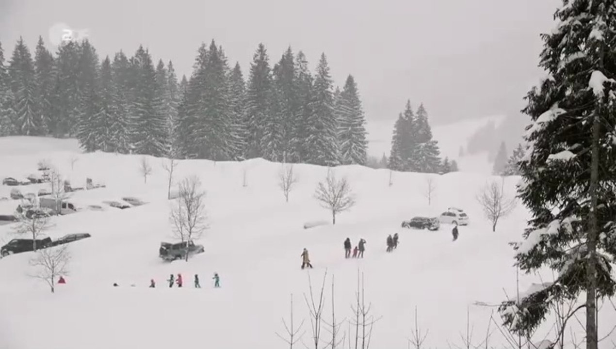 Frühling -23- Weihnachtswunder