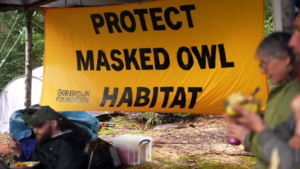 Tasmanian residents worry about the future of their local mine, as they wait for Federal Environment Minister's decision