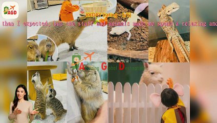 AGD Review 【Shenzhen, China】Lollypet Pet Park Full Day Ticket