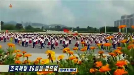 Por ocasião do 80º aniversário da libertação da pátria