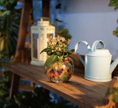 Start Your Garden Today – Smart Plant Growing Tips for Newbies