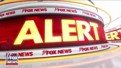 NEW: Inside Putin’s Surprising “Business Pitch” to Donald Trump