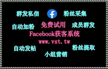 FB营销,Facebook拉群,Facebook出海营销,Facebook发帖,Facebook群发器.