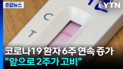 코로나19 환자 6주 연속 증가..."앞으로 2주가 고비" / YTN