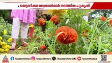 'എങ്ങനെ മനസുവന്നു അവര്‍ക്ക്'; പാലക്കാട് ഓട്ടോ ഡ്രൈവര്‍മാരുടെ പൂകൃഷി നശിപ്പിച്ച് സാമൂഹിക വിരുദ്ധര്‍