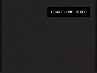 Usagi Home Video (1986) (FANMADE) (videotaped w/ bad quality audio)