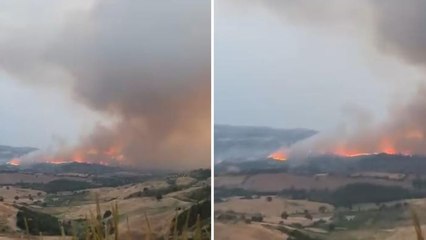 Il video dell'incendio a Roccalbegna: il fuoco sulle colline della Maremma
