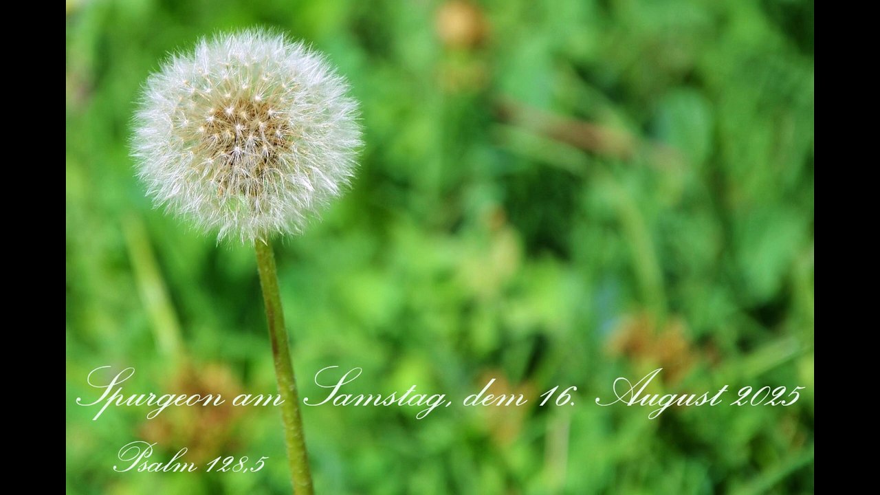 Spurgeon am Samstag, dem 16. August 2025, zu Psalm 128,5