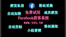 Facebook私信,脸书(FB)群发,脸书(FB)采集器,FB推广,脸书(FB)脚本.