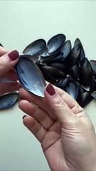 New projectDIY Candle Holder from Mussel Shells | Easy Coastal Decor