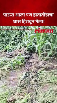 जळगाव जिल्ह्याला मुसळधार पावसाने झोडपलं