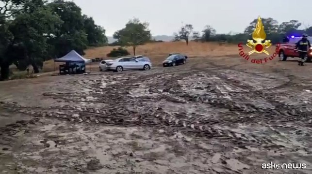 Maltempo, a Matera quercia crolla su auto: muore un ragazzo