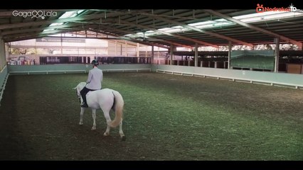 My Tooth, Your Love Episode 12 (Indonesian Sub) – Heartwarming Finale ❤️