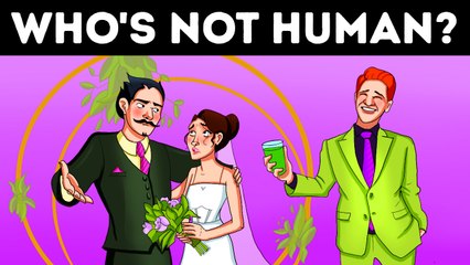 Who's The Liar? 🤔💡 #brightside #riddles #brainteasers #shorts