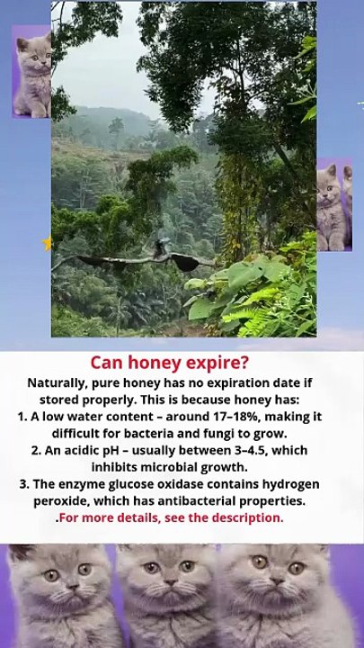 Can honey expire